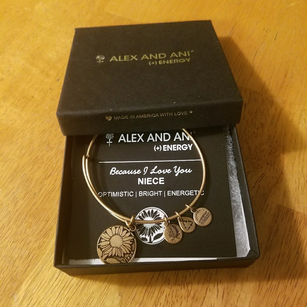 Alex and Ani Bracelet